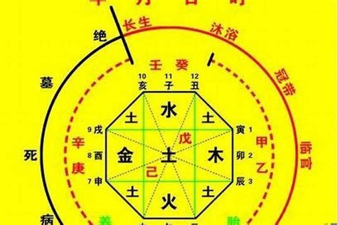 怎麼算八字|生辰八字算命、五行喜用神查詢（免費測算）